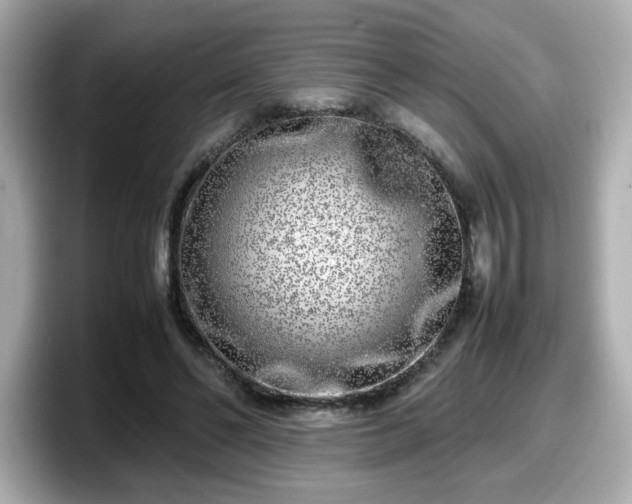 X0000098120494200804111118