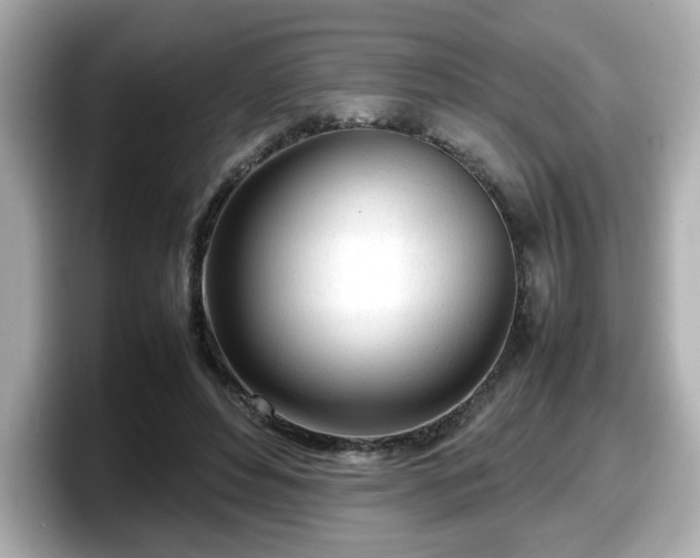 X0000098120496200804111118