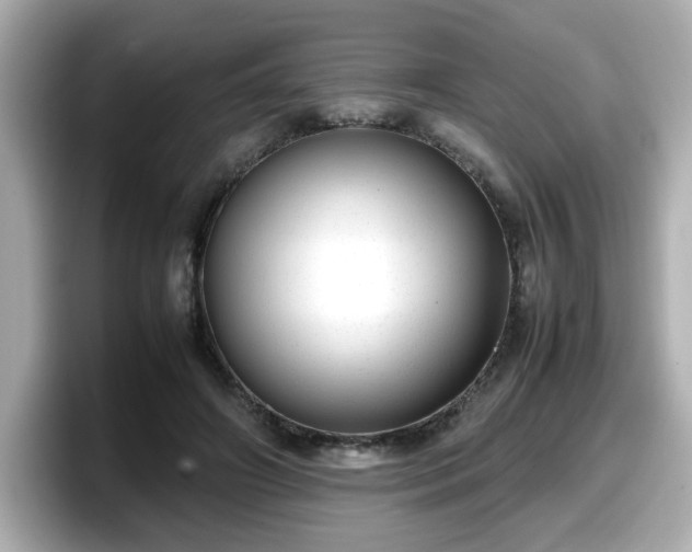 X0000098120498200804111118