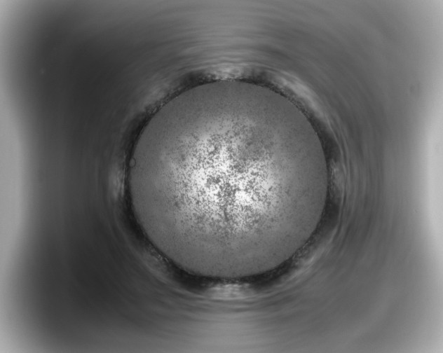 X0000098120499200804111118
