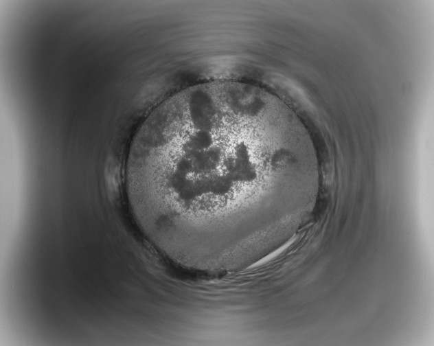 X0000098120503200804111118