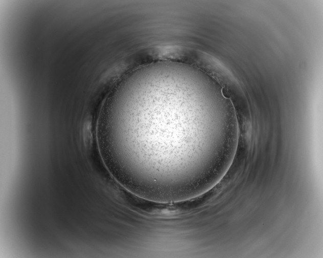 X0000098120506200804111118