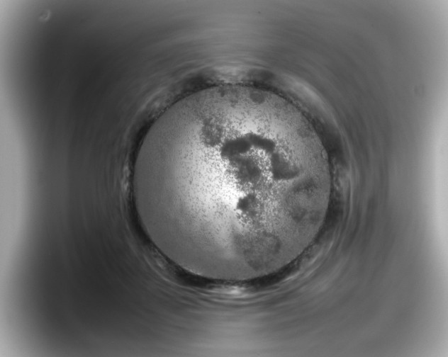 X0000098120507200804111118