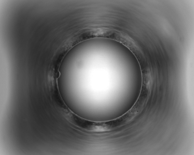 X0000098120510200804111118