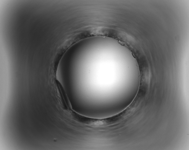 X0000098120513200804111118