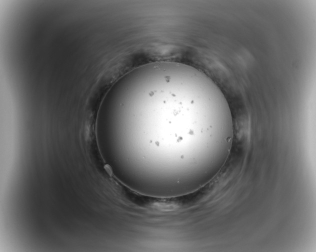 X0000098120515200804111118