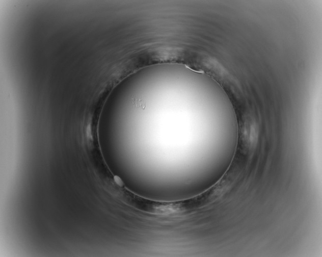 X0000098120516200804111118