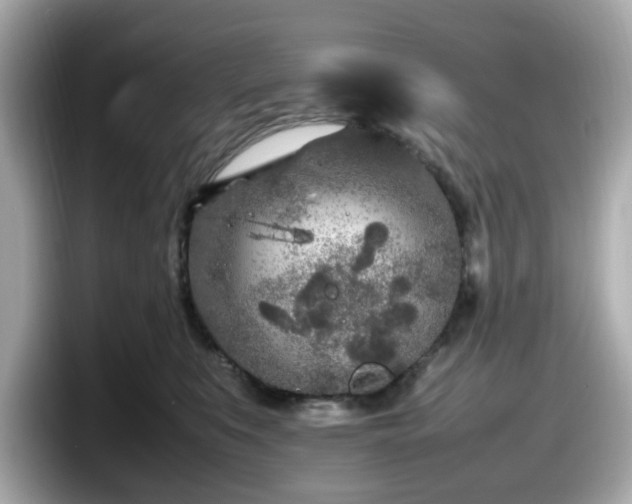 X0000098120519200804111118
