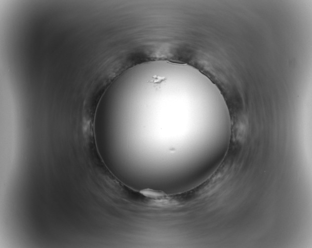 X0000098120521200804111118