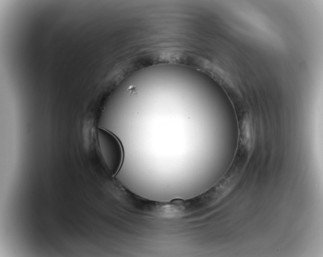 X0000098120522200804111118
