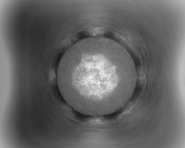 X0000098120523200804111118