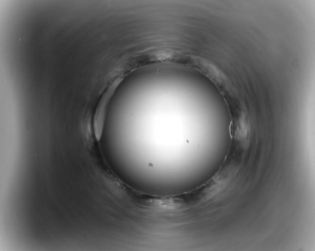 X0000098120524200804111118