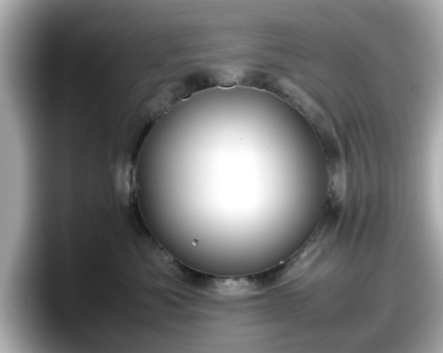 X0000098120525200804111117