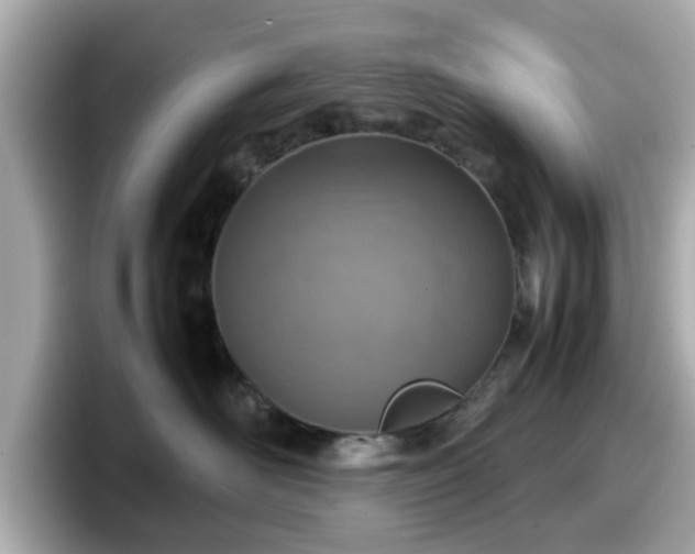 X0000098120526200804111117