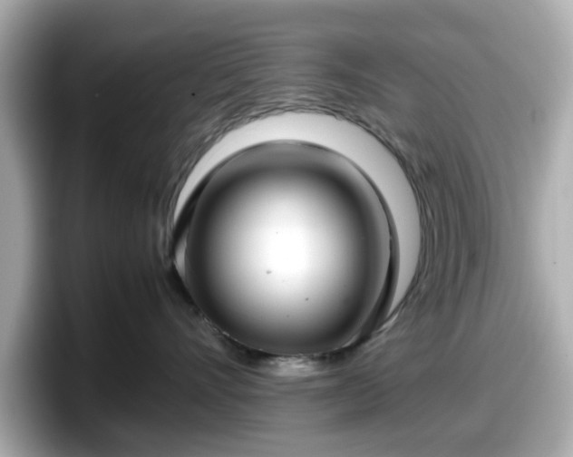 X0000098120528200804111117