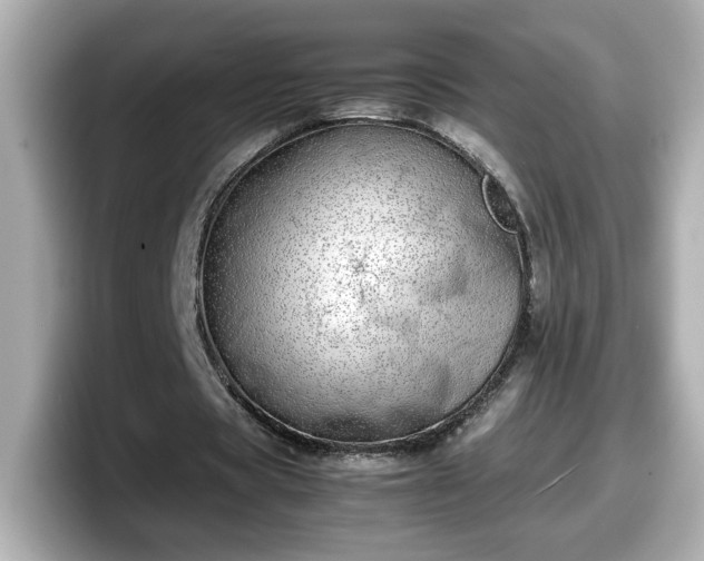 X0000098120529200804111117