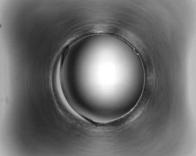 X0000098120530200804111117