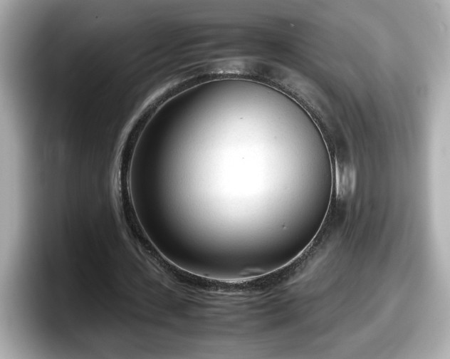 X0000098120531200804111117