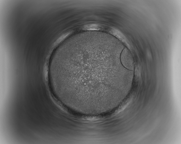 X0000098120533200804111117
