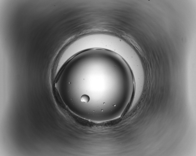 X0000098120534200804111117