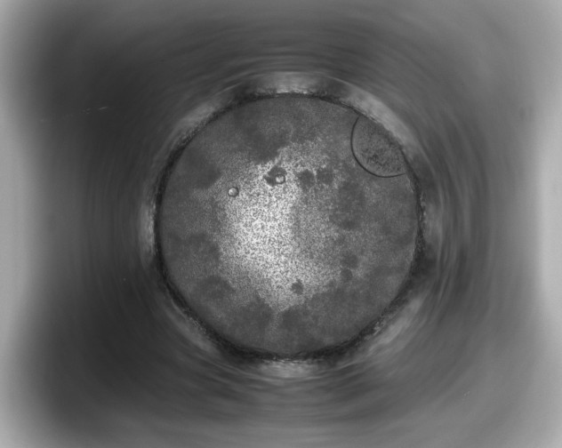 X0000098120537200804111117