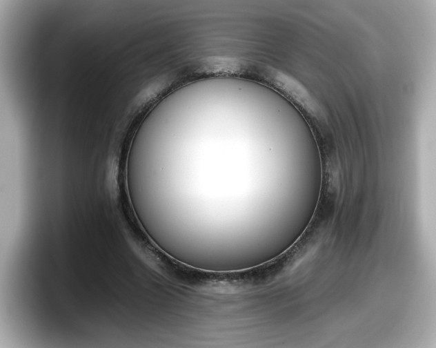 X0000098120538200804111117