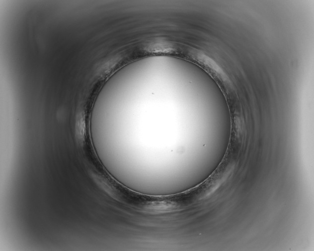 X0000098120541200804111117
