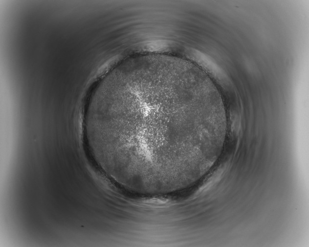 X0000098120542200804111117