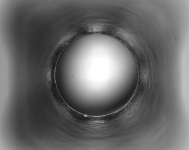 X0000098120543200804111117
