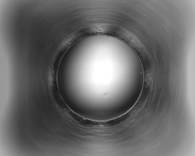 X0000098120544200804111117