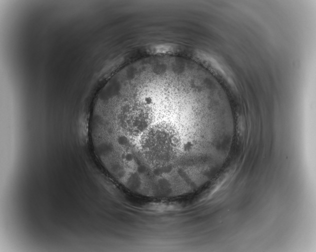 X0000098120545200804111117