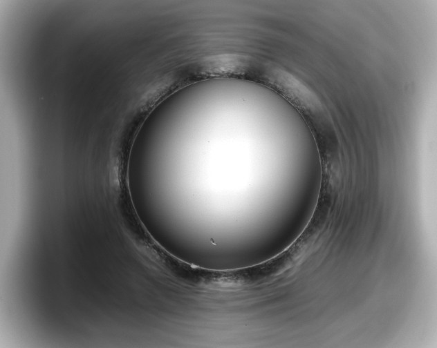 X0000098120546200804111117