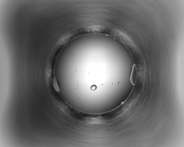 X0000098120548200804111117