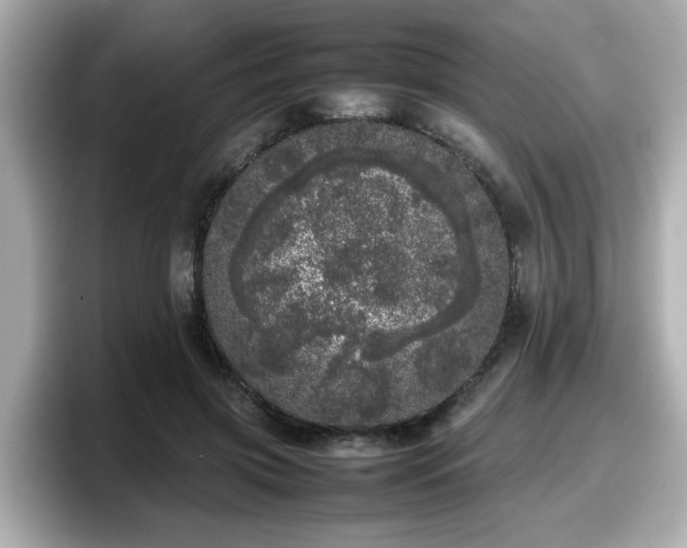 X0000098120549200804111117