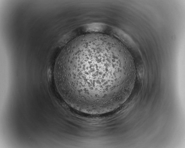 X0000098120551200804111117