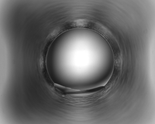 X0000098120552200804111117