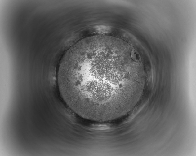 X0000098120553200804111117