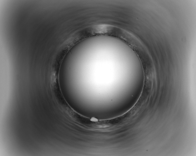 X0000098120555200804111117