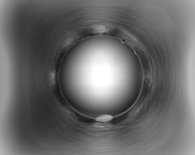 X0000098120556200804111117