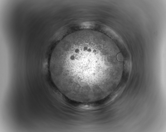 X0000098120557200804111117