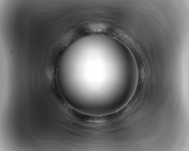 X0000098120559200804111117