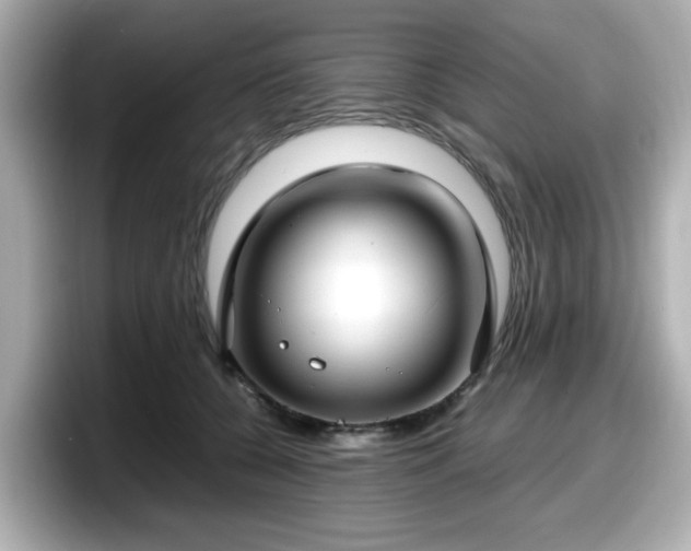 X0000098120560200804111117
