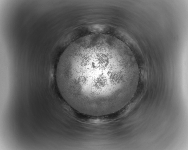 X0000098120561200804111117