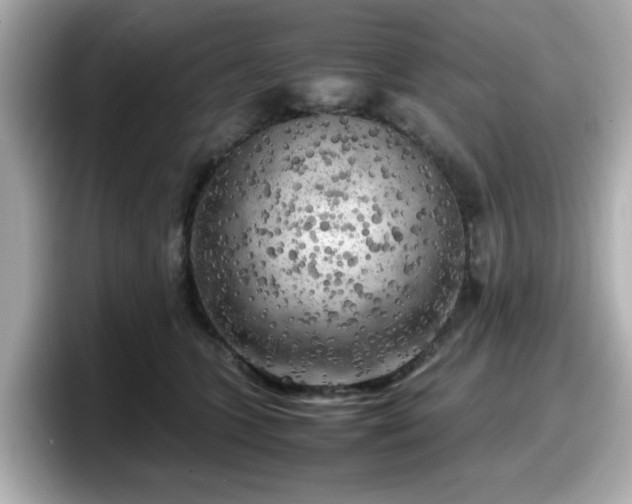 X0000098120563200804111117