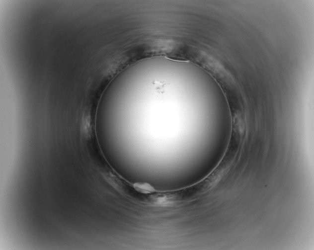 X0000098120564200804111117