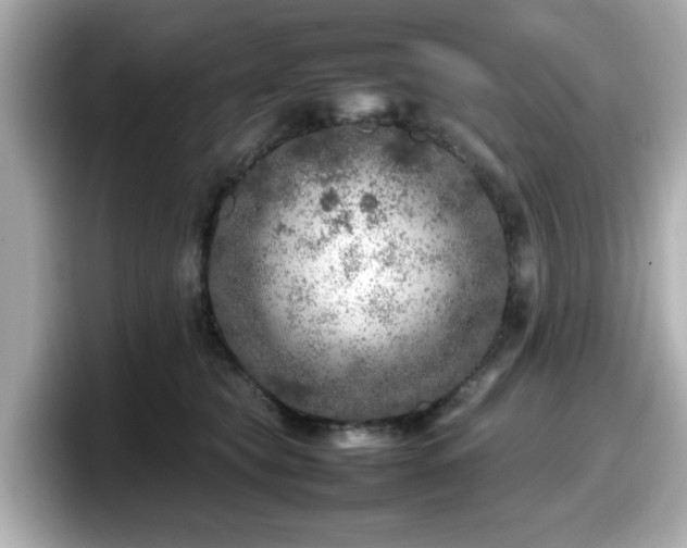 X0000098120565200804111117