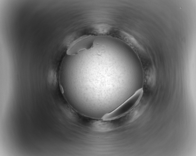 X0000098120568200804111117