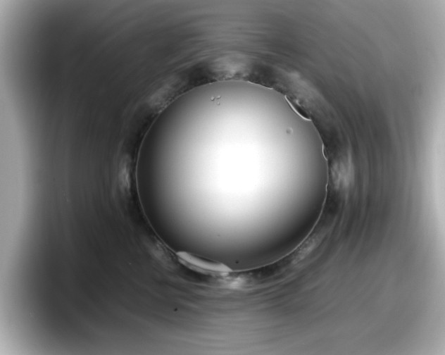 X0000098120570200804111117