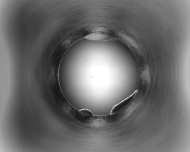 X0000098120572200804111117