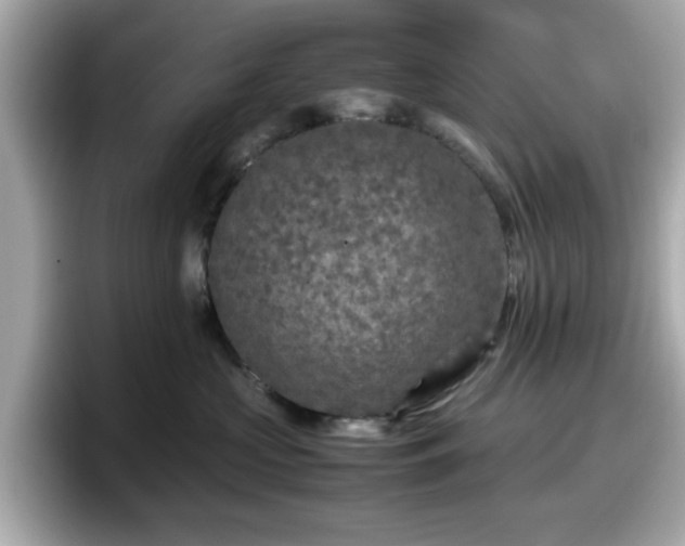 X0000098120573200804111117